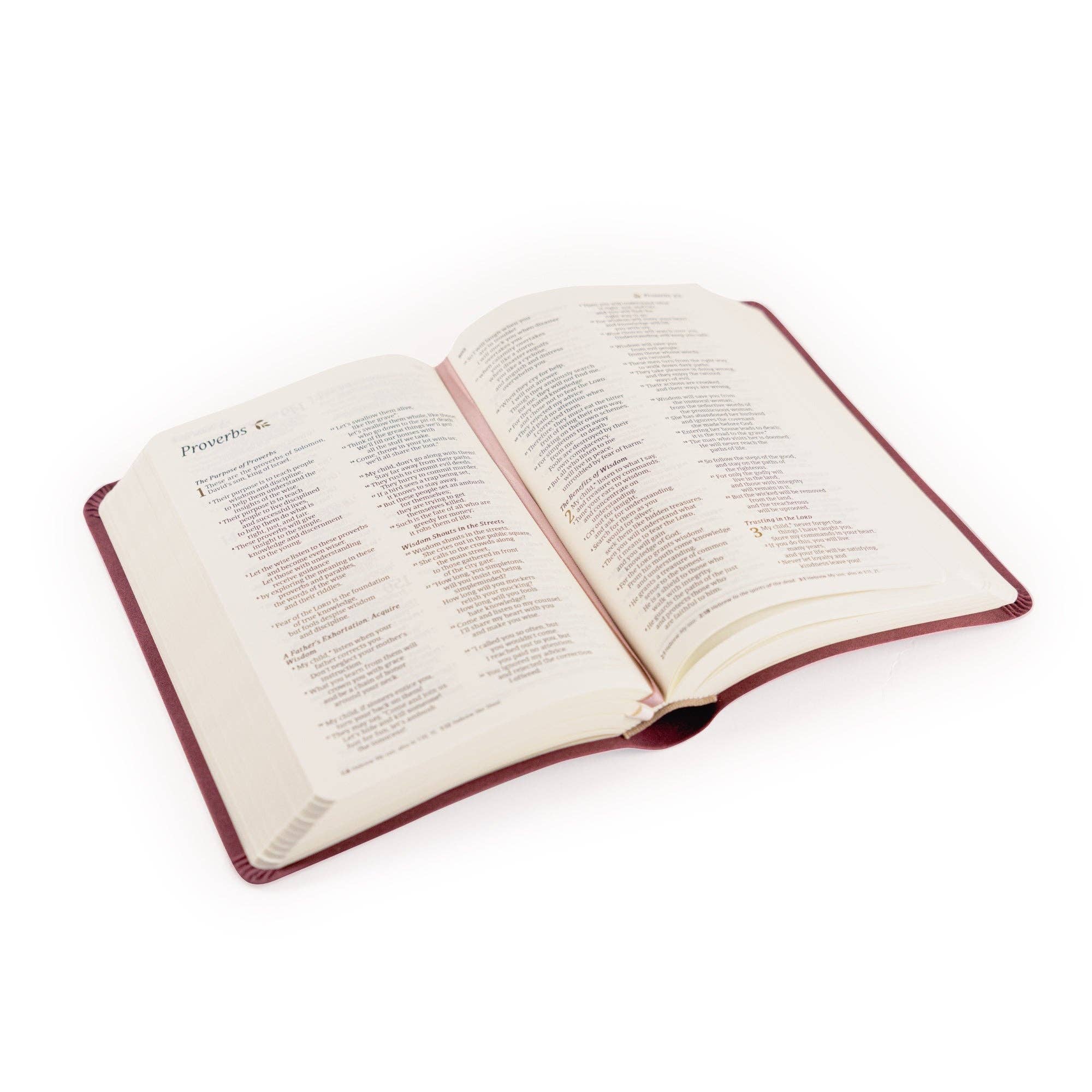 Hosanna Revival – Engroshandel Religionsbog – NLT Kompakt Bibel: Helena Tema6