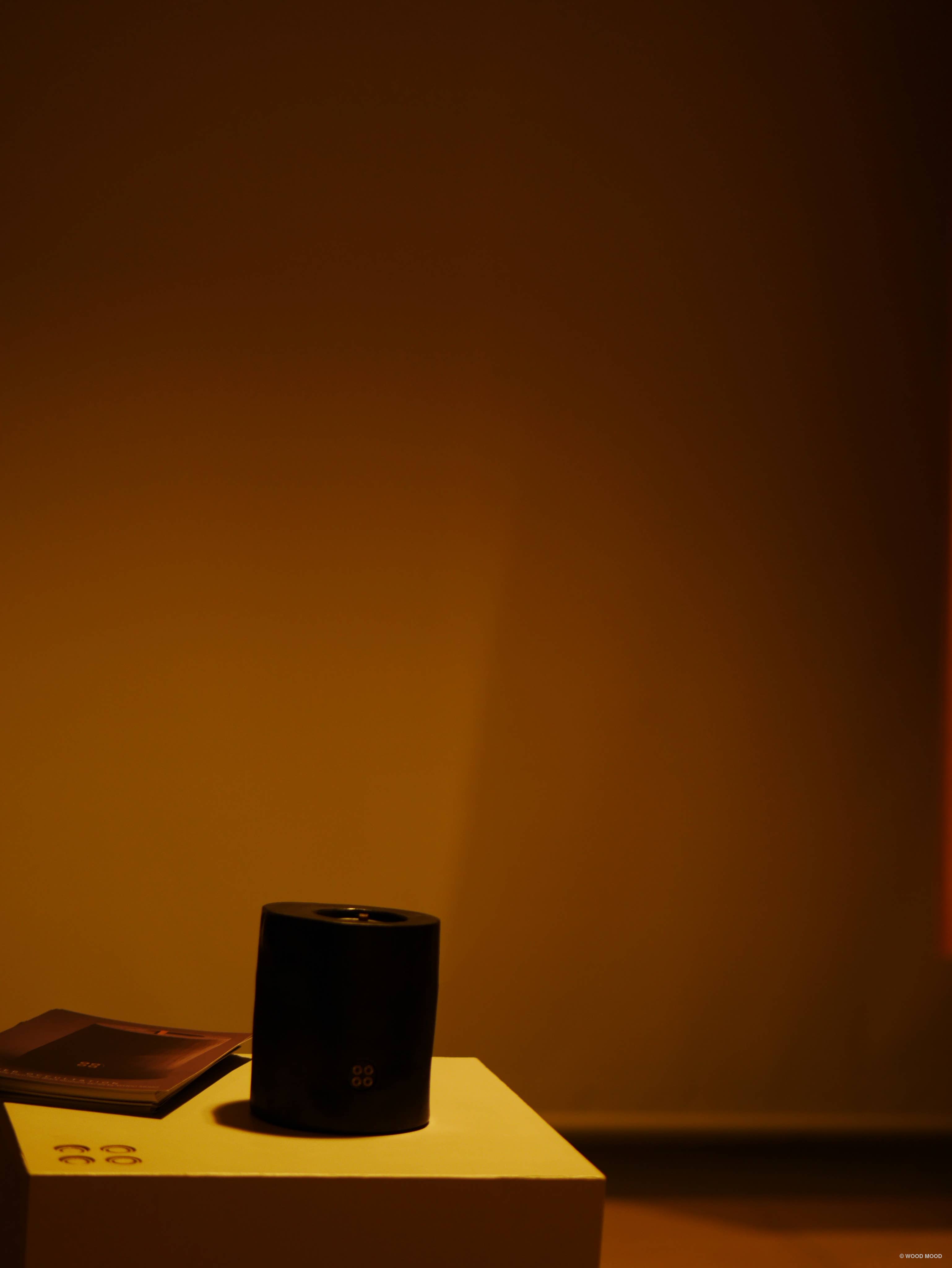 WOOD MOOD – wholesale Burkljus – Cannes Night Garden | återanvändbart ljus med eteriska oljor14