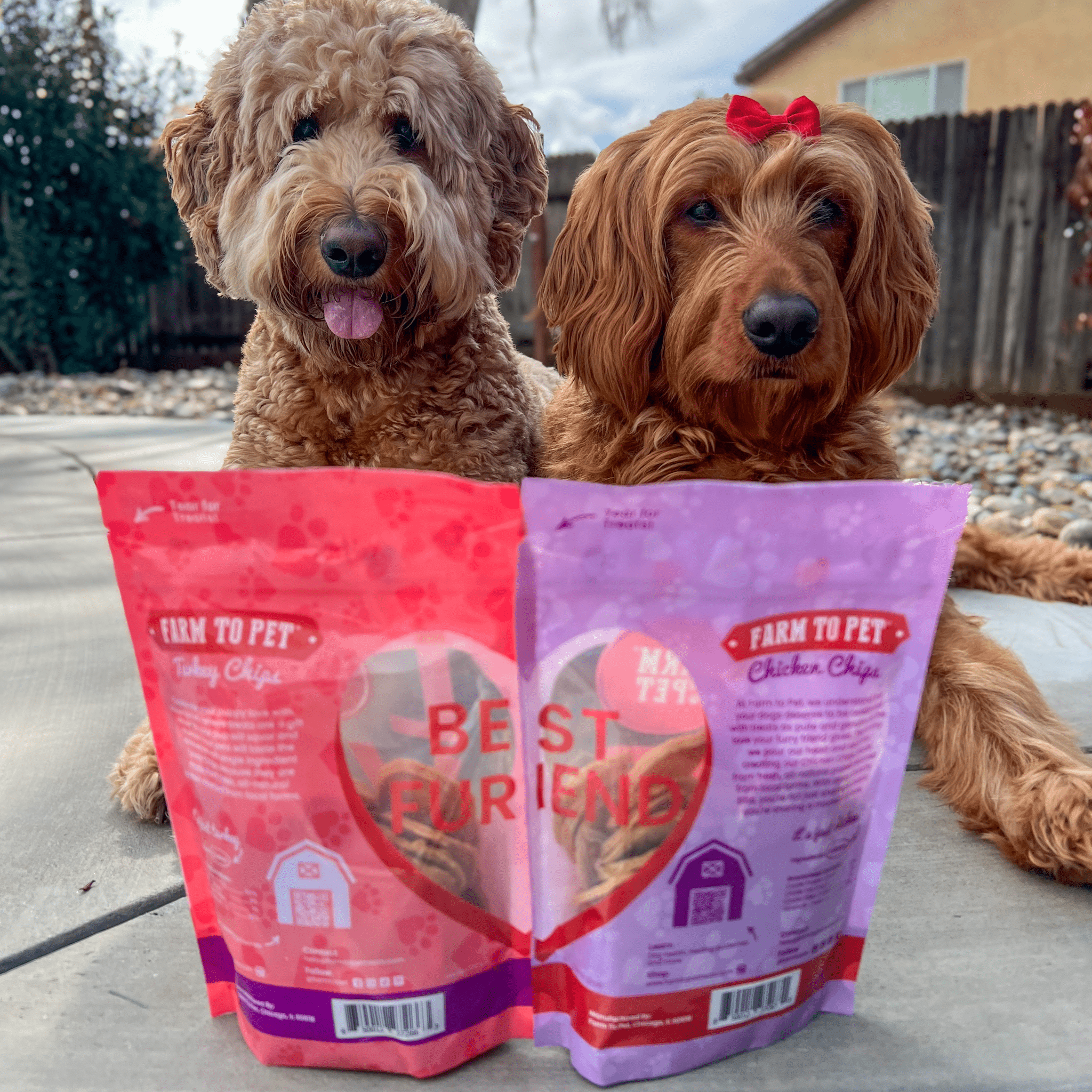 Farm to Pet Healthy Treats for Dogs & Cats - Wholesale Pet Treats - Dog - Dog Treat Valentine Bundle (12 pack)2