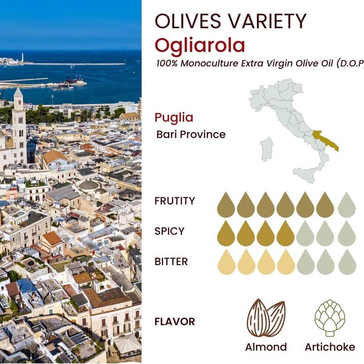 Wholesale Italian Food - Wholesale Olive Oil - Basso 1904 Extra Virgin Olive Oil Limited Edition Gift Set (5 x 100 ml)1