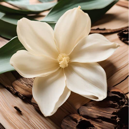 16 oz. Sheer Vanilla Woods - Ultra ljusdoftolja för wholesale av General Wax - Candle Making Supplies