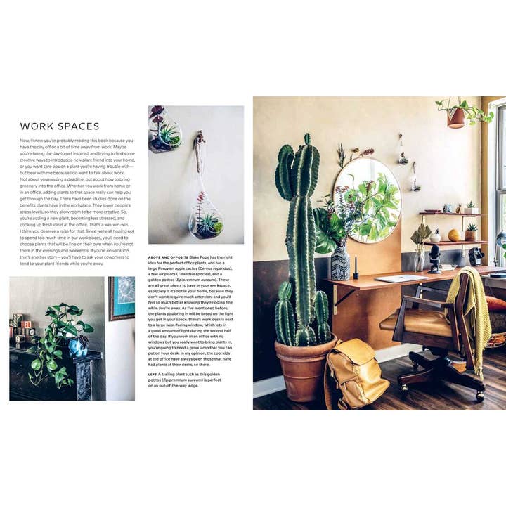 Simon & Schuster - Wholesale Home & Garden - Wild Interiors by Hilton Carter3