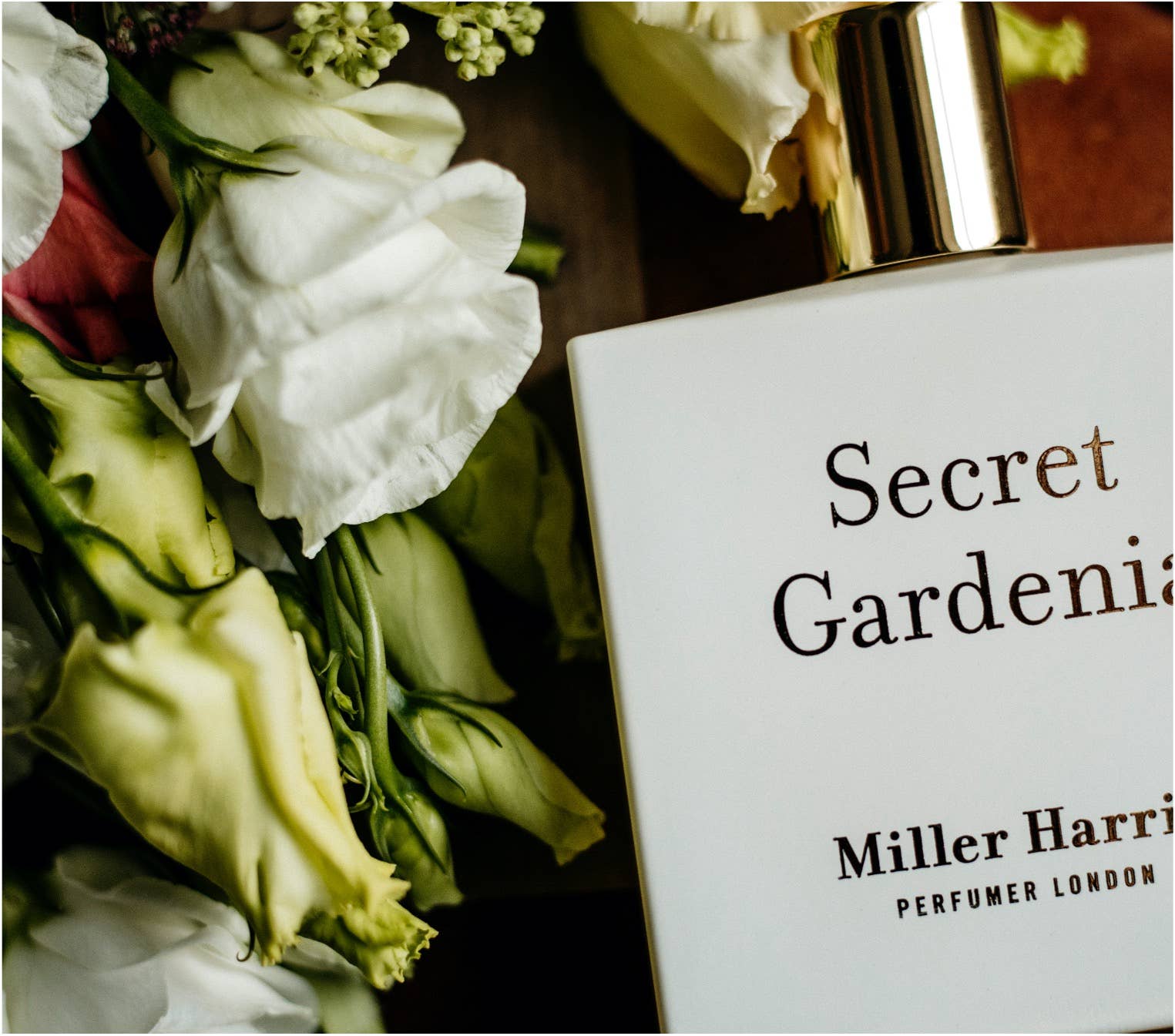 Miller Harris Perfumer London - Wholesale Perfume/Eau de Toilette - Secret Gardenia - A floral, aquatic fragrance3