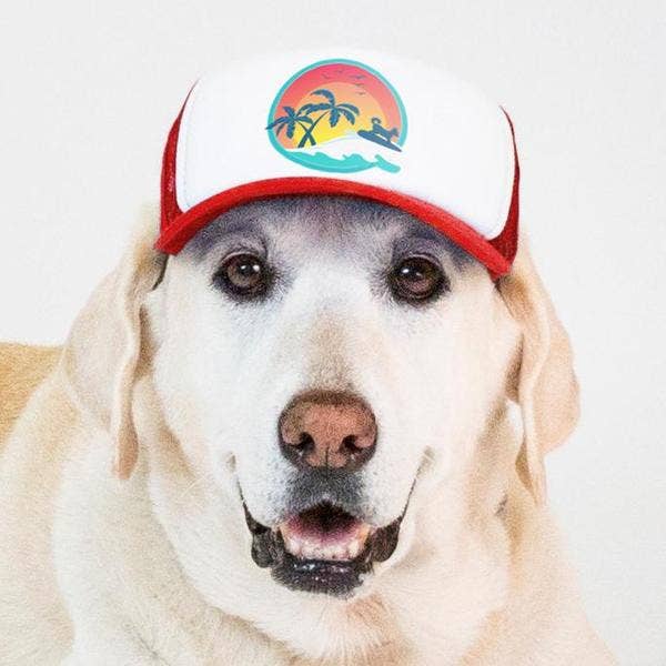 PupLid - Wholesale Pet Hat - Dog - Surfer Dog Standard or Namedrop | Trucker Hat for Dogs7