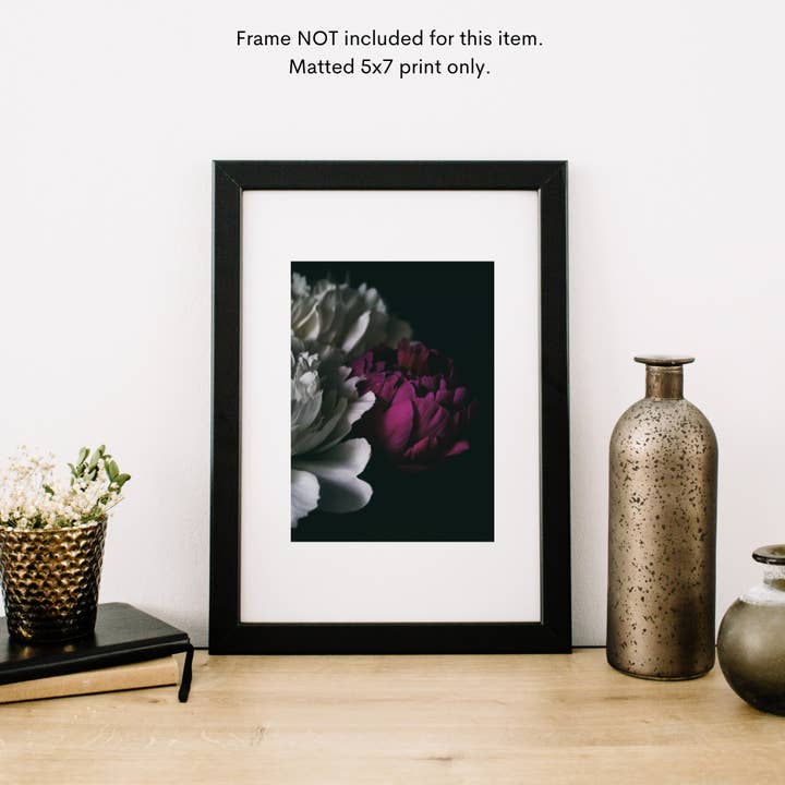 Color Fine Art Peony Matted Photography Print for wholesale by Alexis Arnold Photography