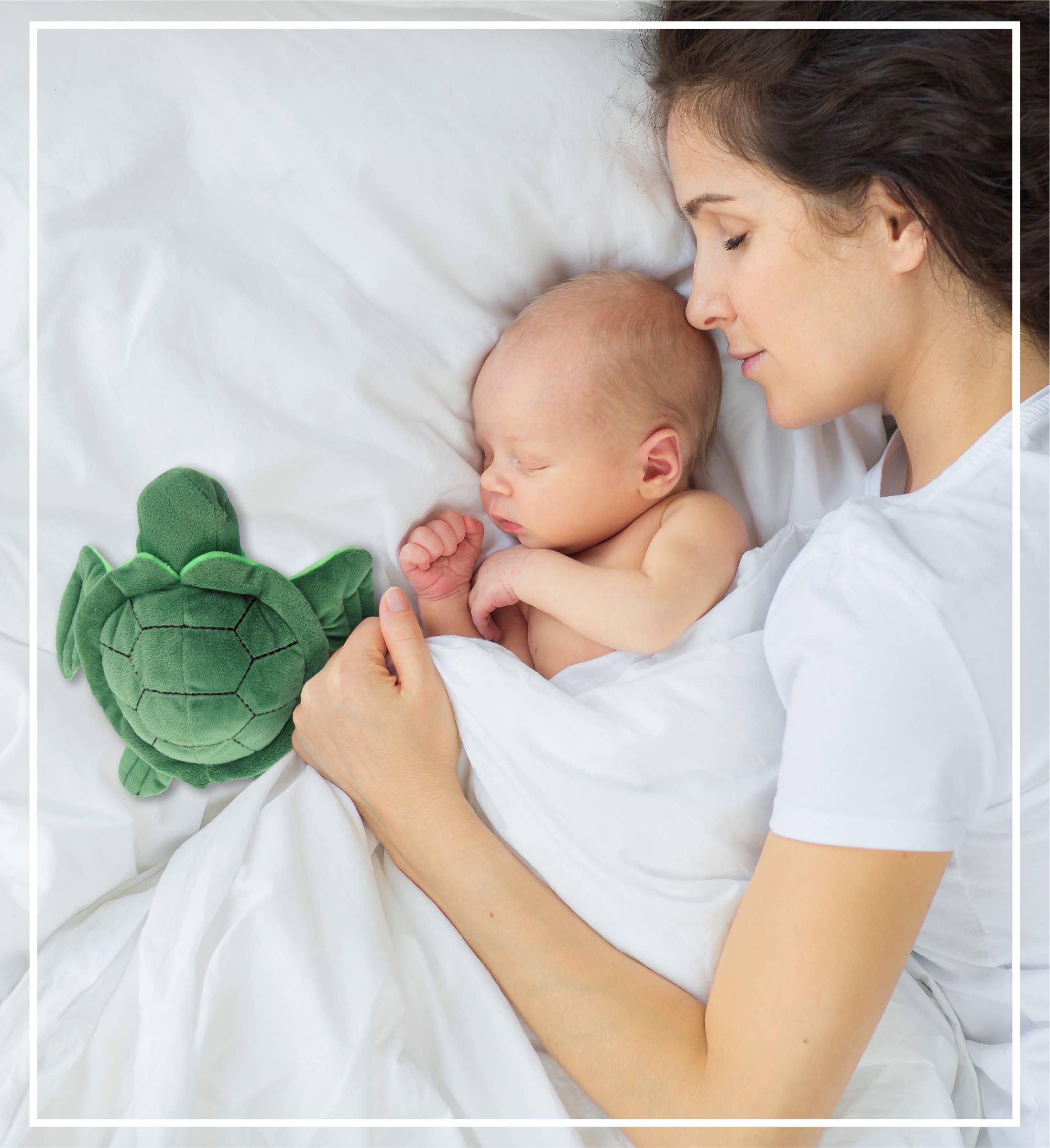 Cota Global - Wholesale Stuffed/Plush Toy - Kids & Baby - 6" Plush - Sea Turtle5