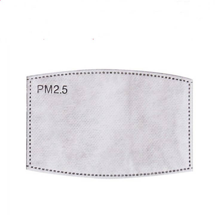 Generise-pakket van 10 vervangende Pm 2.5-filters voor wholesale door My Wholesale Warehouse