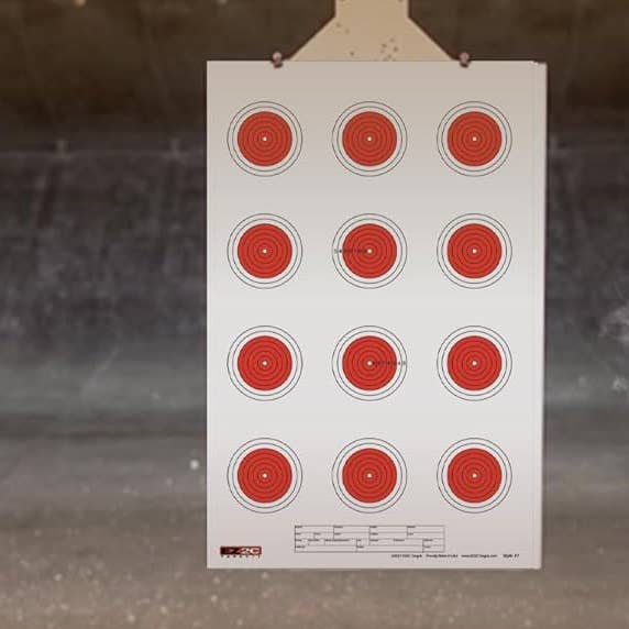 25 cibles EZ2C Style 27/RD10 : Cible de tir en papier petit calibre 50 pieds 11"x17" FABRIQUÉ AUX ÉTATS-UNIS Bloc de 25 pour la vente par EZ2C Targets