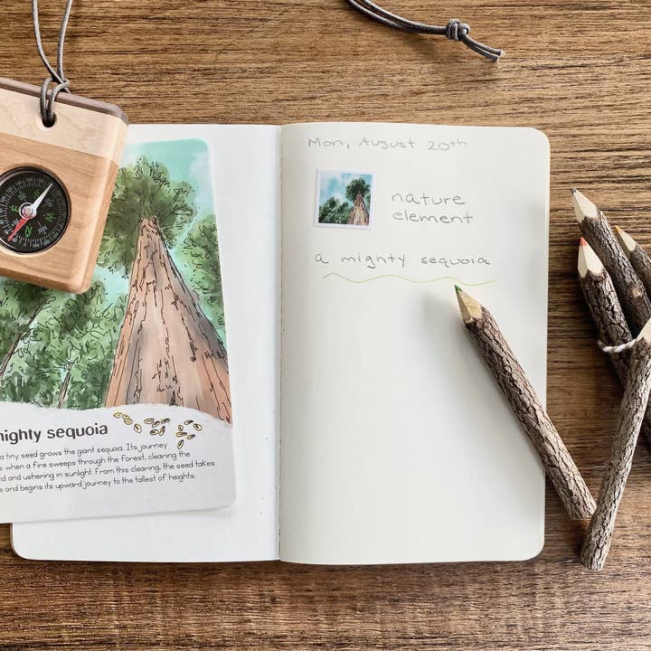 Heartflow Kids - Wholesale DIY craft kit – Child - Infinite Explorers Nature Kit4