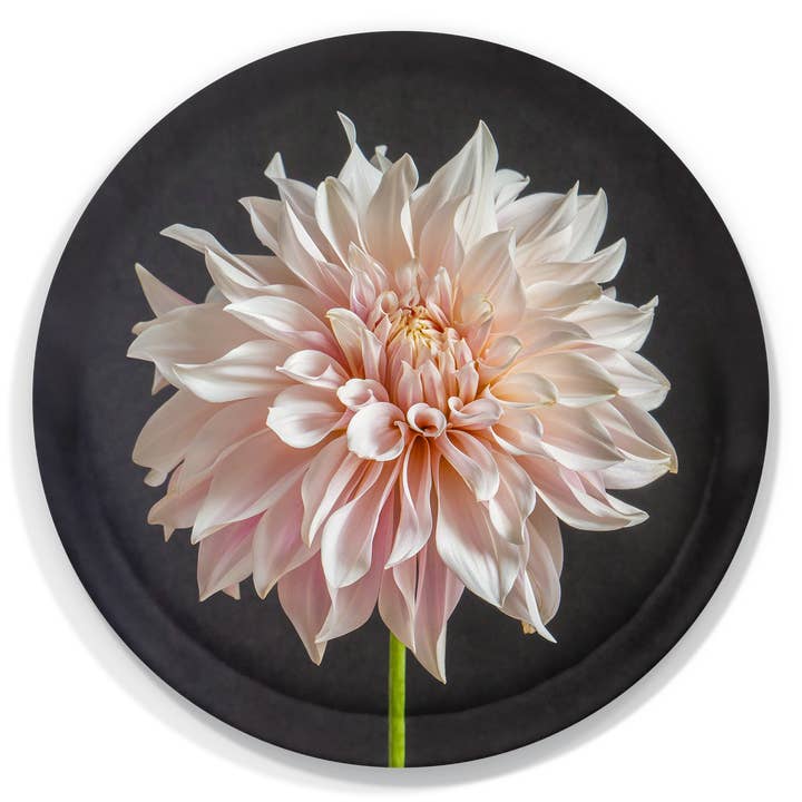 Café au Lait Dahlia Serving Tray by Bottle Branch for wholesale by Trays4Us