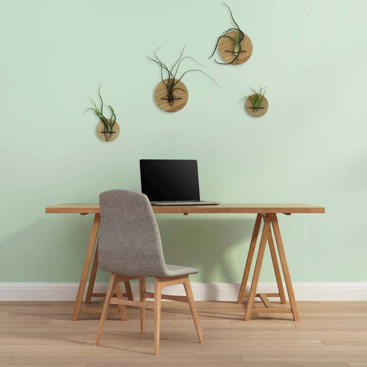 Etairnity - Wholesale Milestone Art/Keepsake - Kids & Baby - Discs (set of 2) - Light Oak2