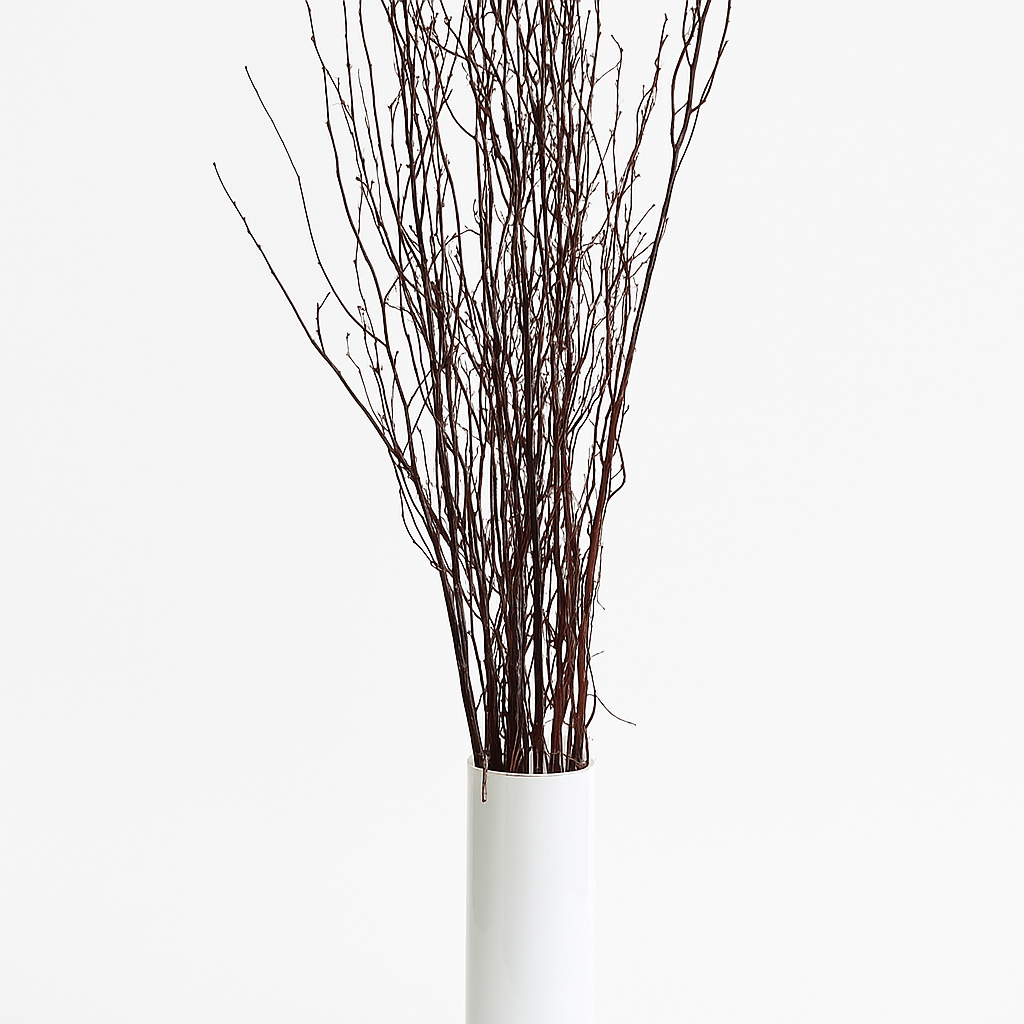 GS Foliage - Wholesale Dried/Pressed Flowers - Varnished 4 Foot Birch Branches - 10pc Bundle0