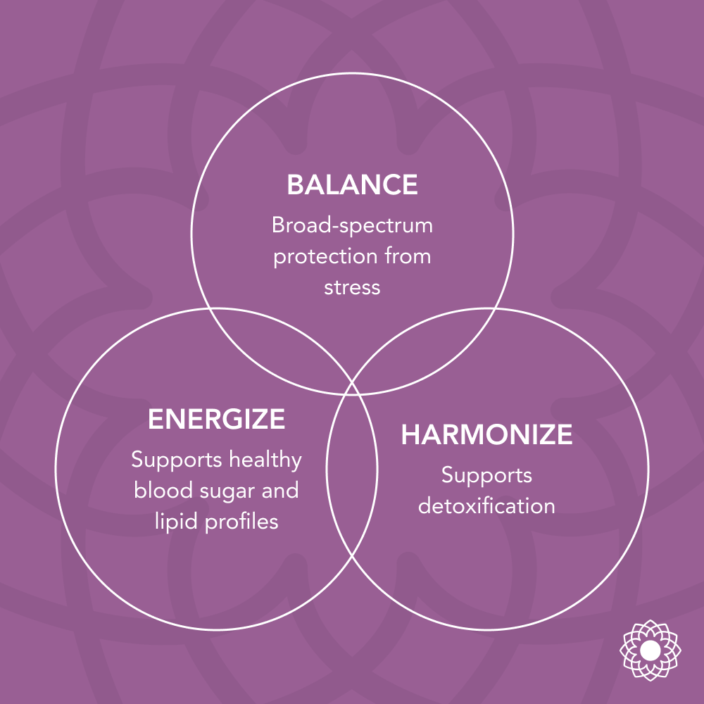 Portland Ashwagandha Farm - Vendita all'ingrosso Tinture - Tulsi - Tintura Spagirica4