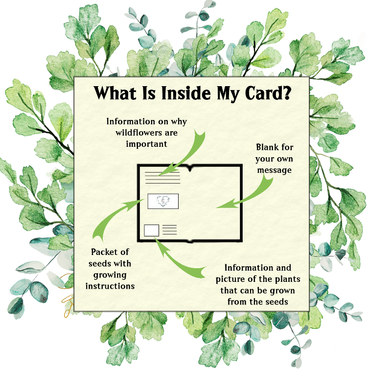 Seeds with Love – wholesale Everyday greeting card – British Birds Seed Card - Wildflowers for birds2