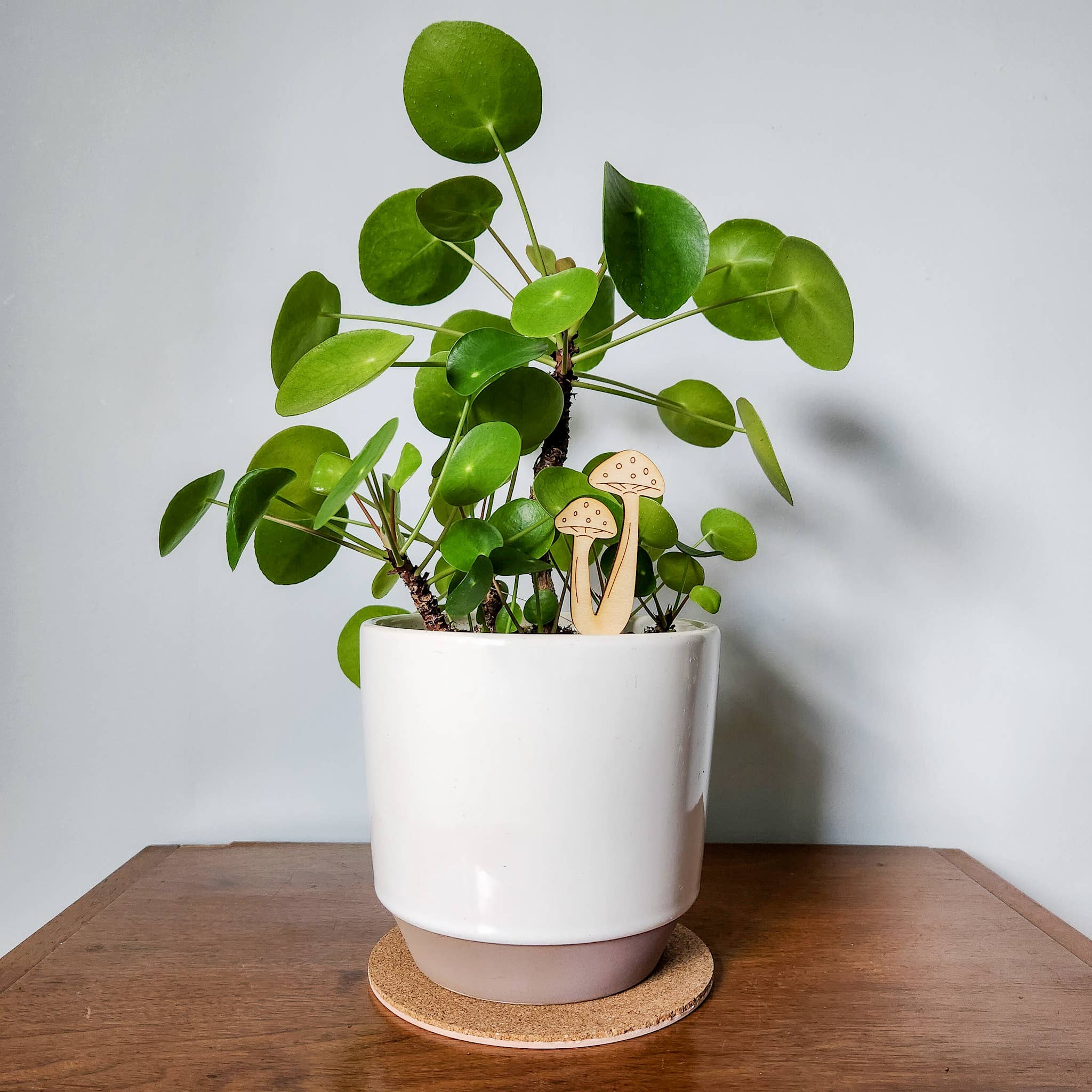 Leaf & Node - Wholesale Garden/Lawn Stake - Mushroom Decorative Houseplant Stake (Wood, 2 Sizes)0