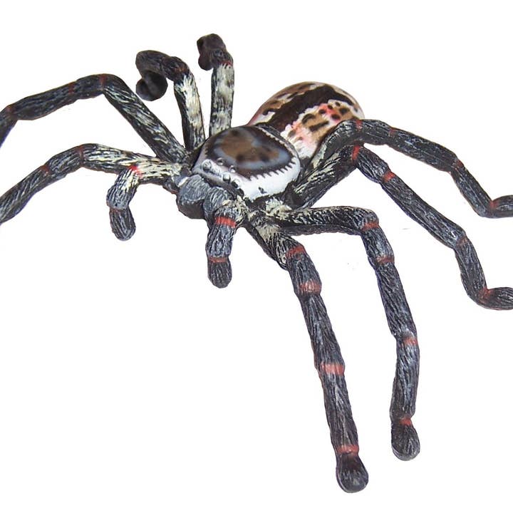 Huntsman Spider (Pack of 10) for wholesale by Science and Nature