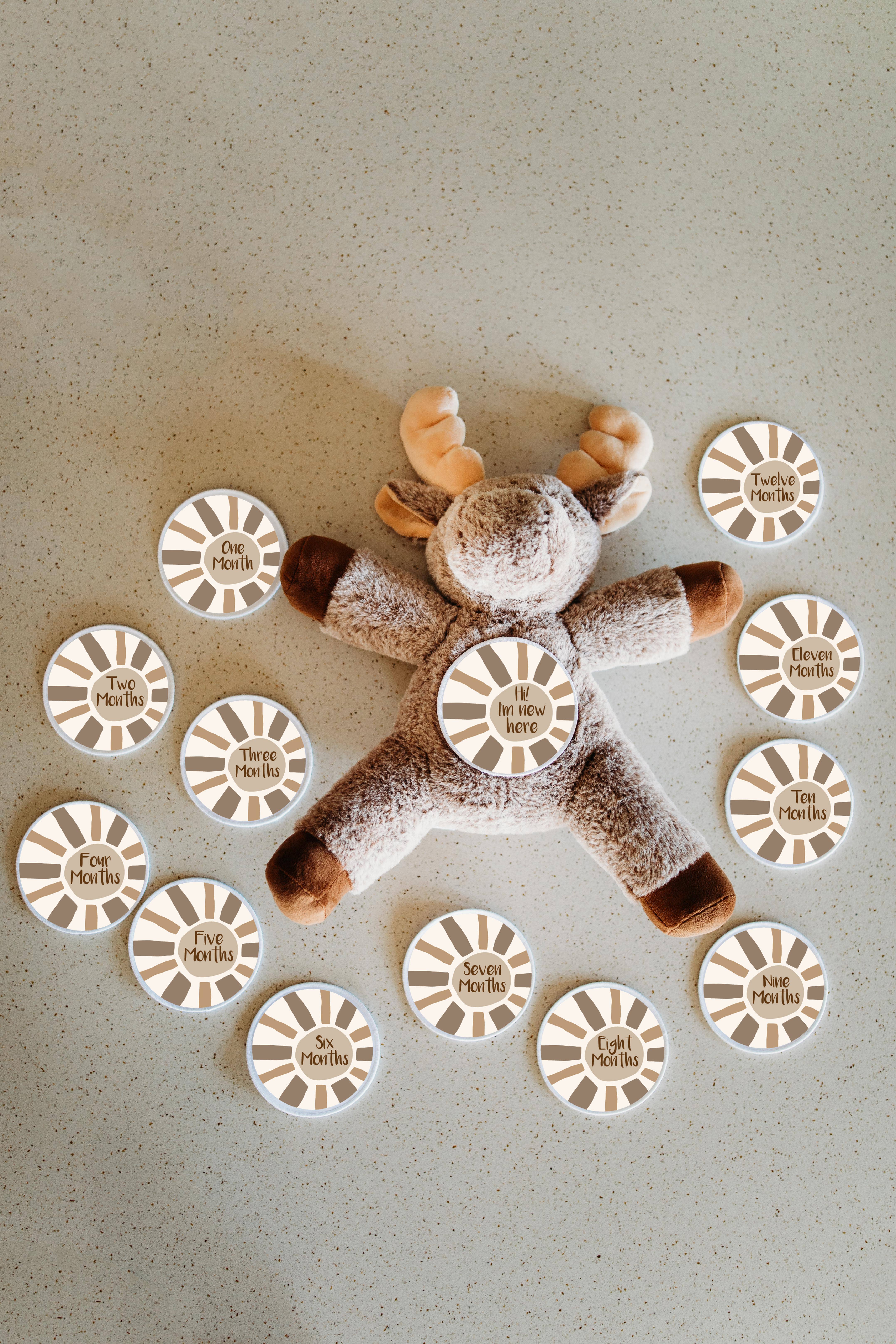 Grow With Me Baby Co - Wholesale Stuffed/Plush Toy - Kids & Baby - Monthly Milestone Discs, Moose Stuffed Animal2