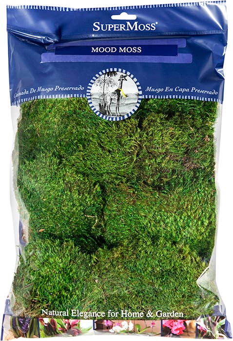 SuperMoss - Wholesale Dried/Pressed Flowers - Mood Moss Preserved1