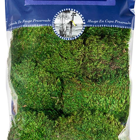 SuperMoss - Wholesale Dried/Pressed Flowers - Mood Moss Preserved1