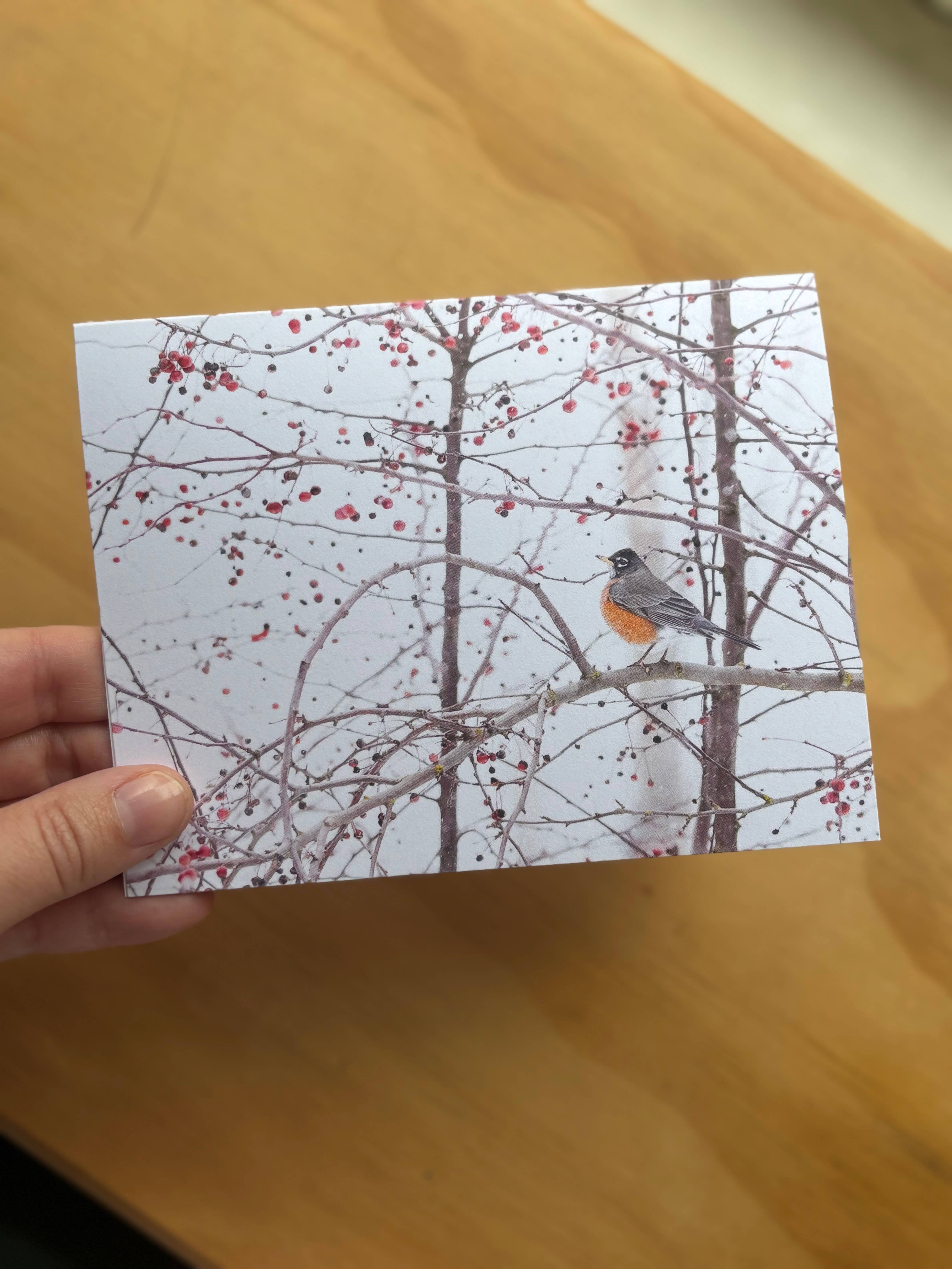 Andrea Morris Art - Wholesale Everyday Greeting Card - "Snow Day" Nature Photo Greeting Card 2