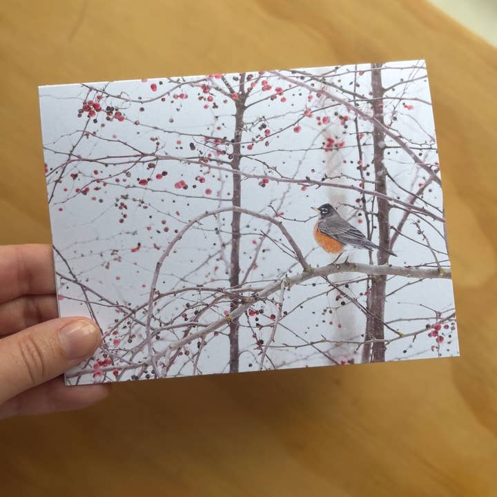 Andrea Morris Art - Wholesale Everyday Greeting Card - "Snow Day" Nature Photo Greeting Card 2