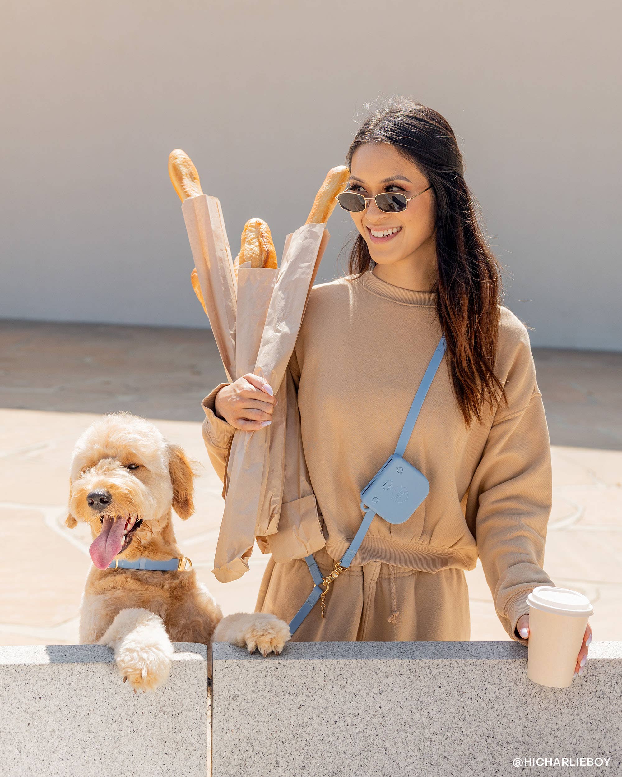 SUNNY TAILS - Wholesale Pet Collar - Dog - Malibu Blue Waterproof Dog Collar2