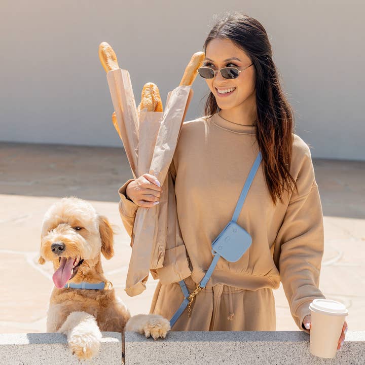 SUNNY TAILS - Wholesale Pet Collar - Dog - Malibu Blue Waterproof Dog Collar2