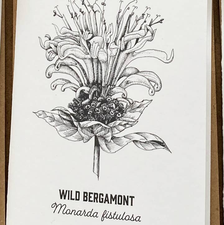 Madrona Press - Wholesale DIY Craft Kit - Watercolor Card Kit - 1 Wildflower Card12