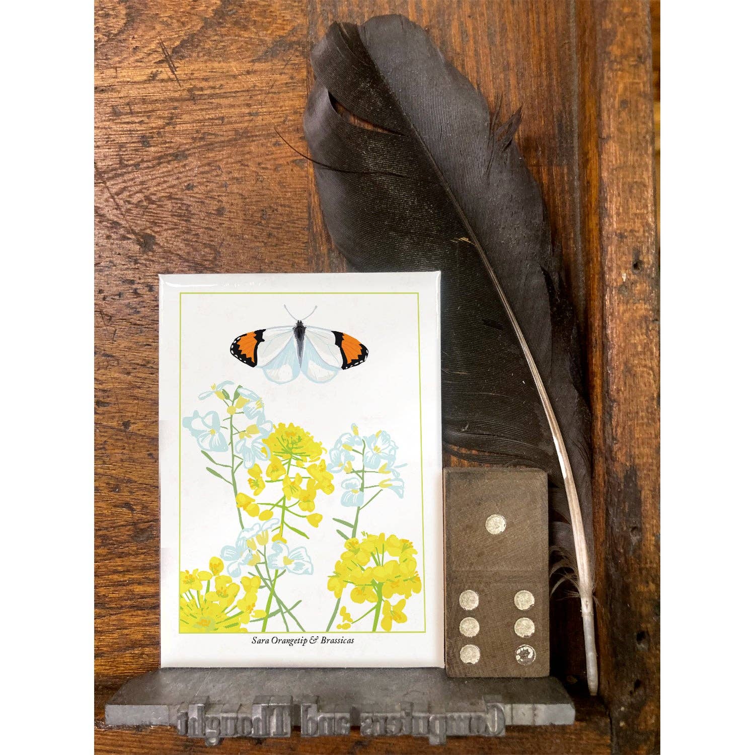 Rigel Paper – wholesale Magnet – RBU-737 Sara Orangetip Butterfly Magnet1