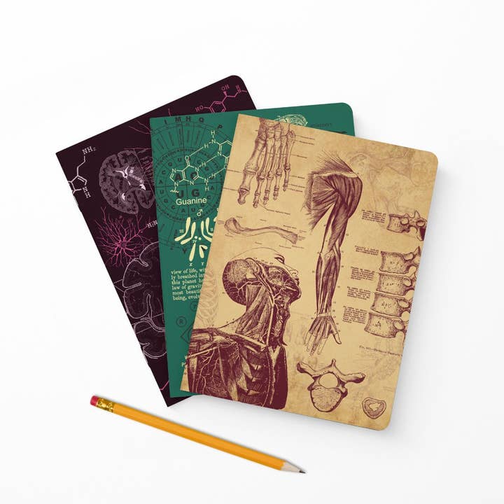 O Código Vivo: Anatomia, Neurociência, Evolução & Genética por atacado de Atoms to Astronauts