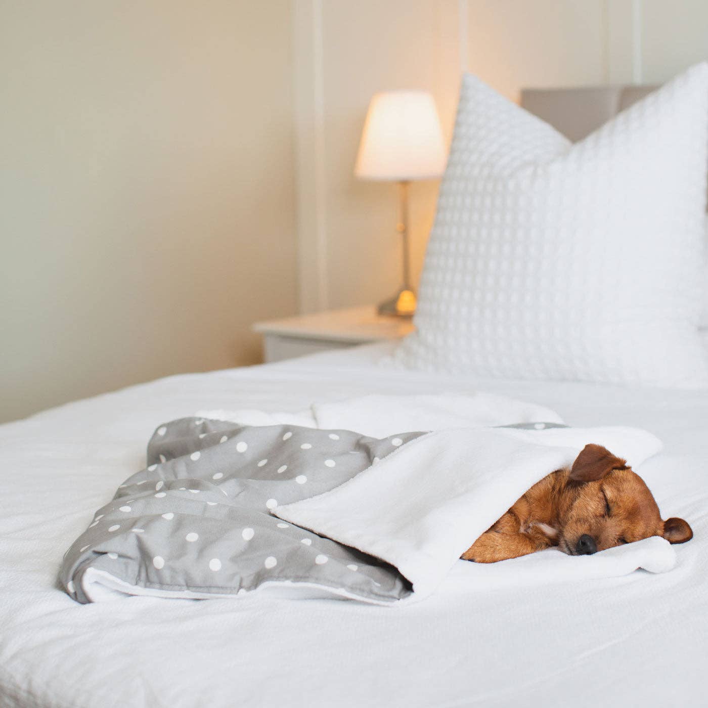 Lords and Labradors - Vente Couverture – chien - Couverture pour chien et chiot à pois et rayures21