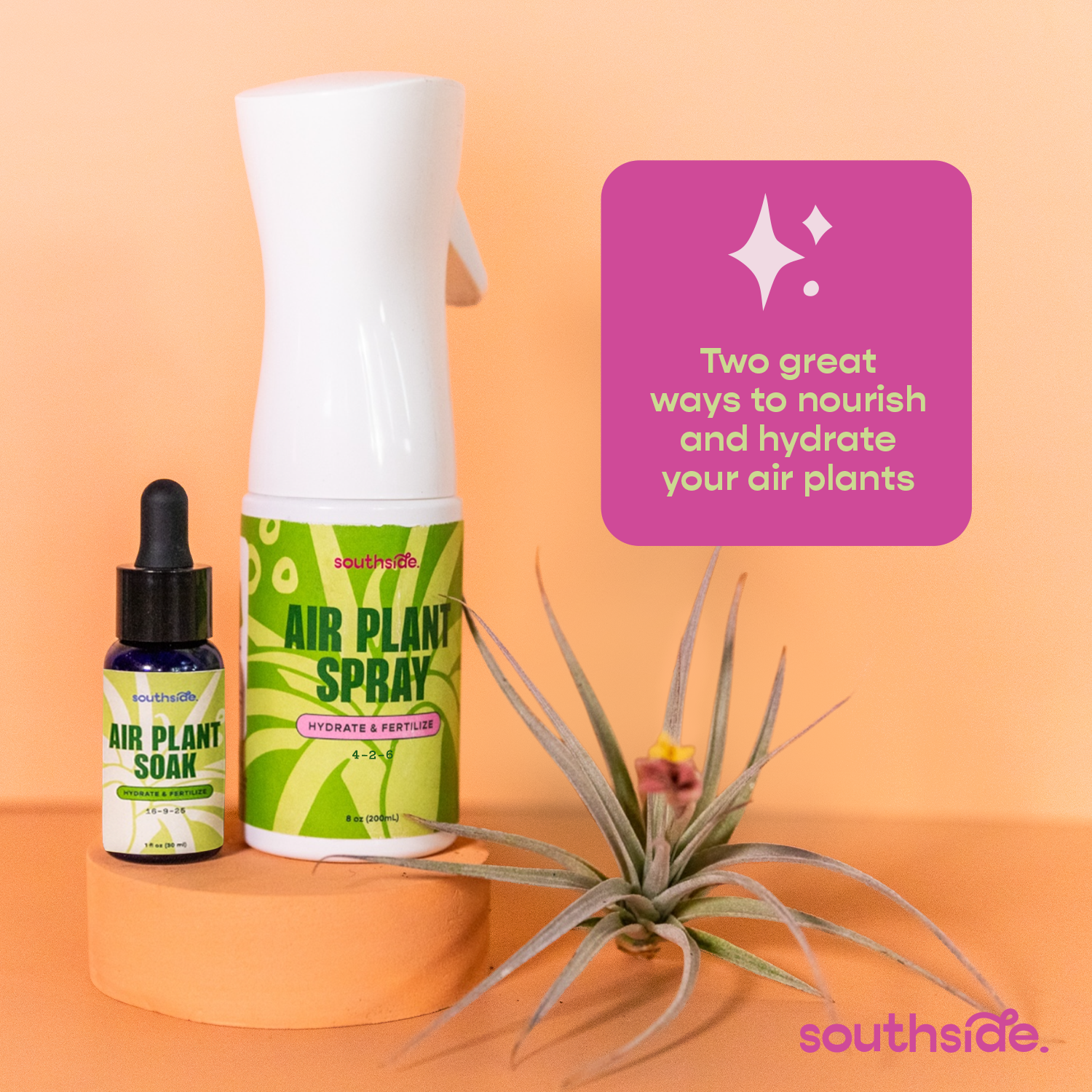 Southside. - Wholesale Fertilizer - Air Plant Fertilizer - Spray and Soak4