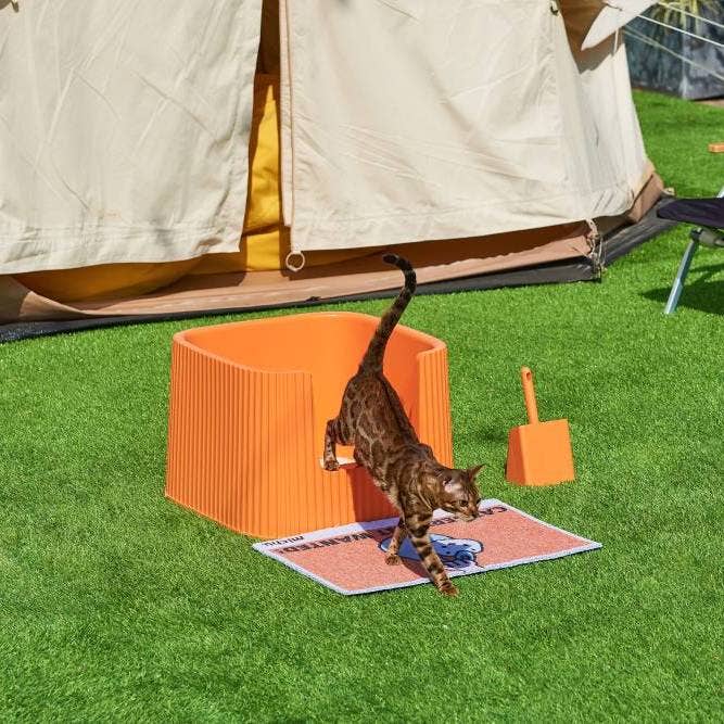 MichuPet - Wholesale Cat Litter Box - Michu XXL Container Cat Litter Box with Scoop, Coral or BoBa15