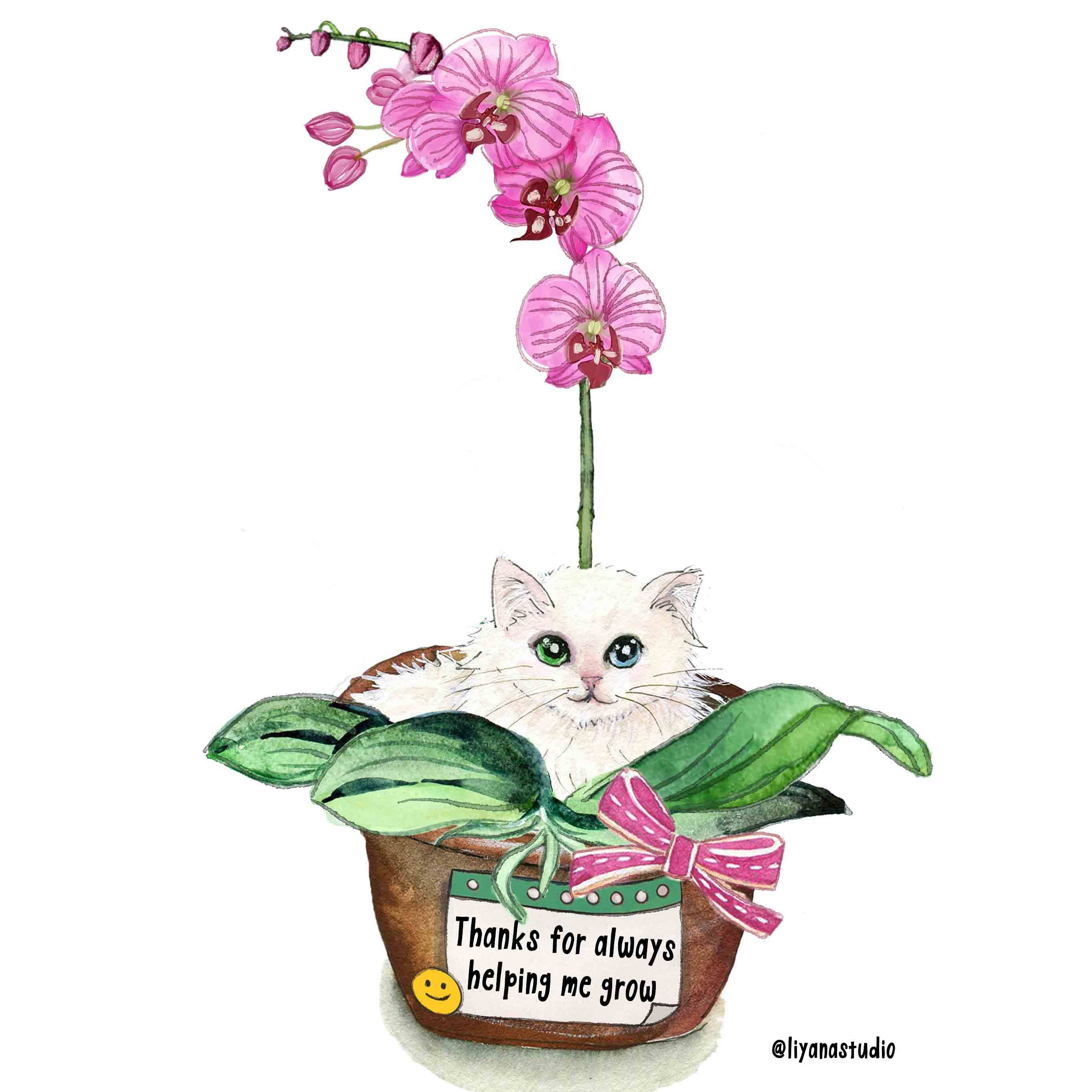 Liyana Studio - Venta al por mayor Tarjetas del Día de la Madre - Tu mamá orquídea - Tarjeta divertida para el Día de la Madre5