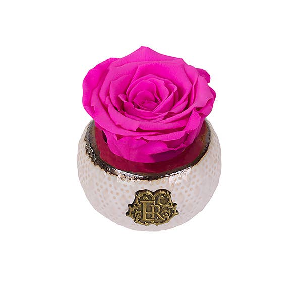 Eternal Roses® - Wholesale Artificial Flowers - Mini Soho Classic Eternal Luxury Rose31