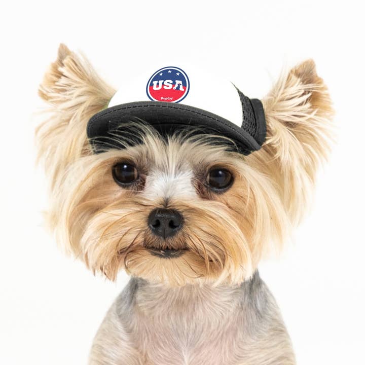 PupLid – wholesale Hatt - Hund – USA Stars Design l Truckerhatt för hundar24