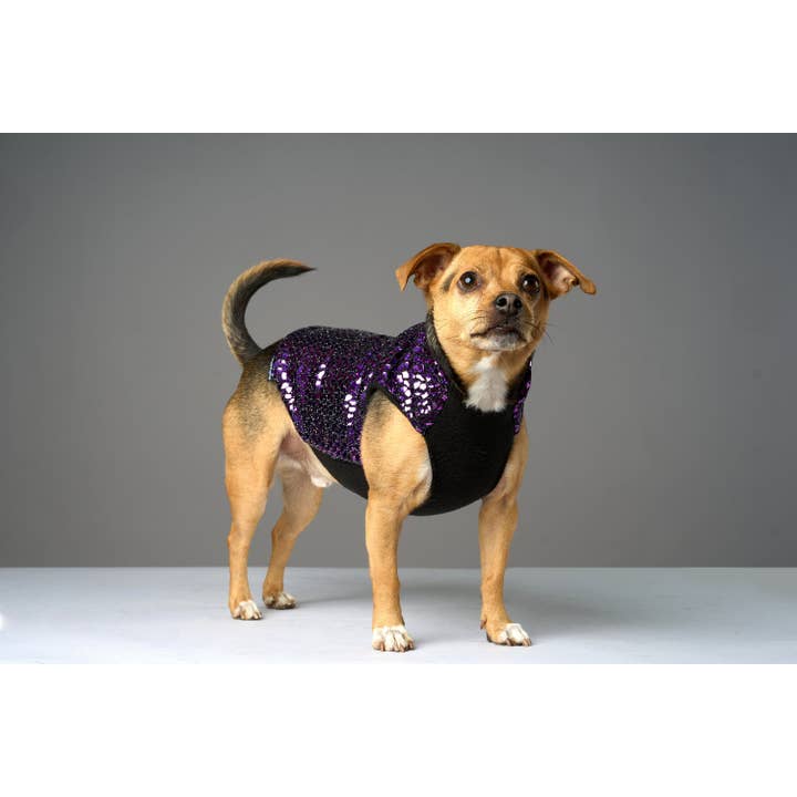Disco Dog - Wholesale Pet Sweater - Dog - Purple Holographic Night Fever Disco Dog Sweater4
