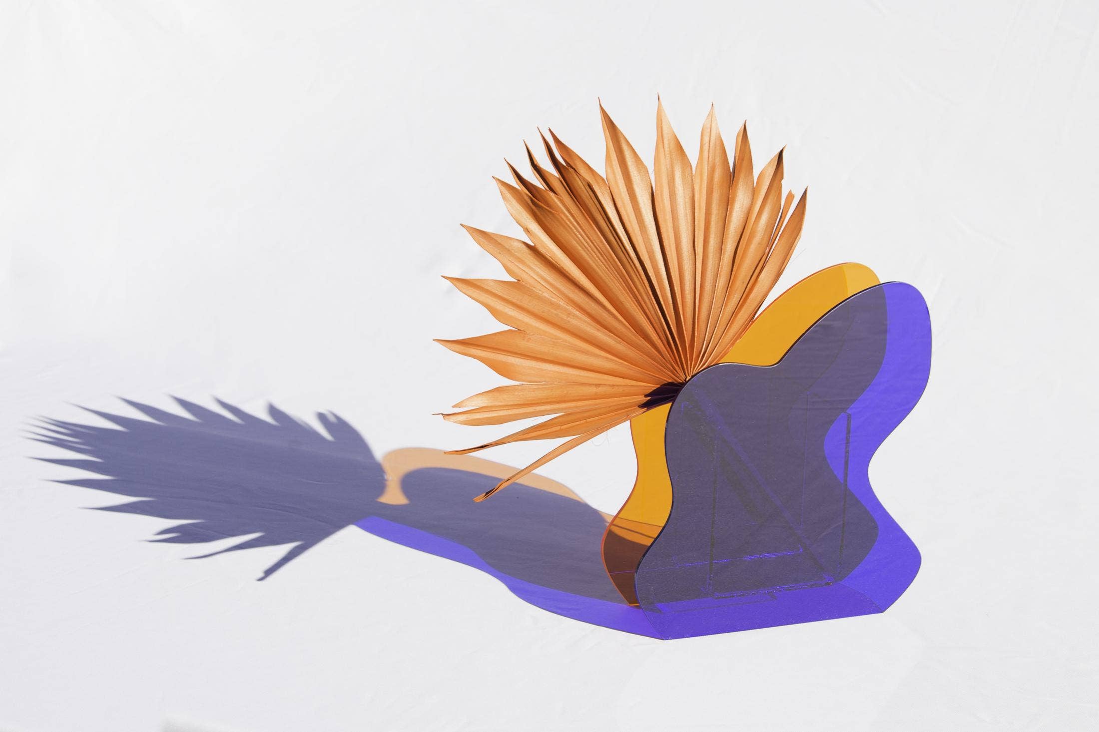 Really Nice Things – Großhandel Vasen – Acrylvase in organischer Form