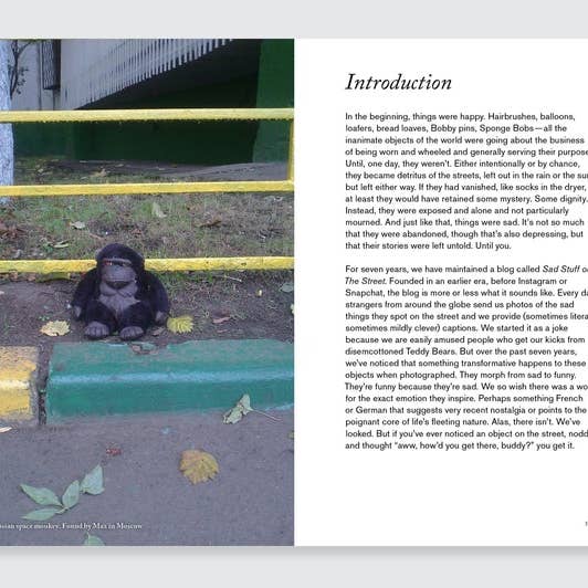 AMMO Books - Wholesale Book - Adult - Sad Stuff on the Street By Sloane Crosley and Greg Larson
