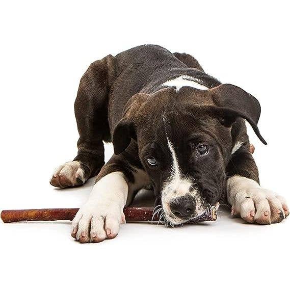 Elite Pet Distributors - Wholesale Pet Treats - Dog - Jack & Pup Premium Grade Odor Free Bully Sticks Dog Treats 1 Count2