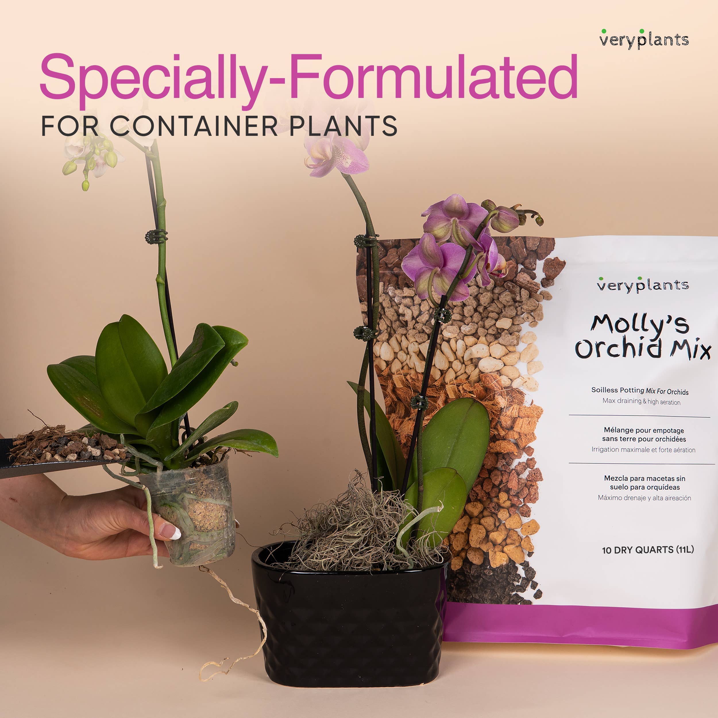 Veryplants Inc - Wholesale Planting/Potting Soil - Molly's Orchid Mix - Premium Soilless Potting Mix- 10 Quarts1