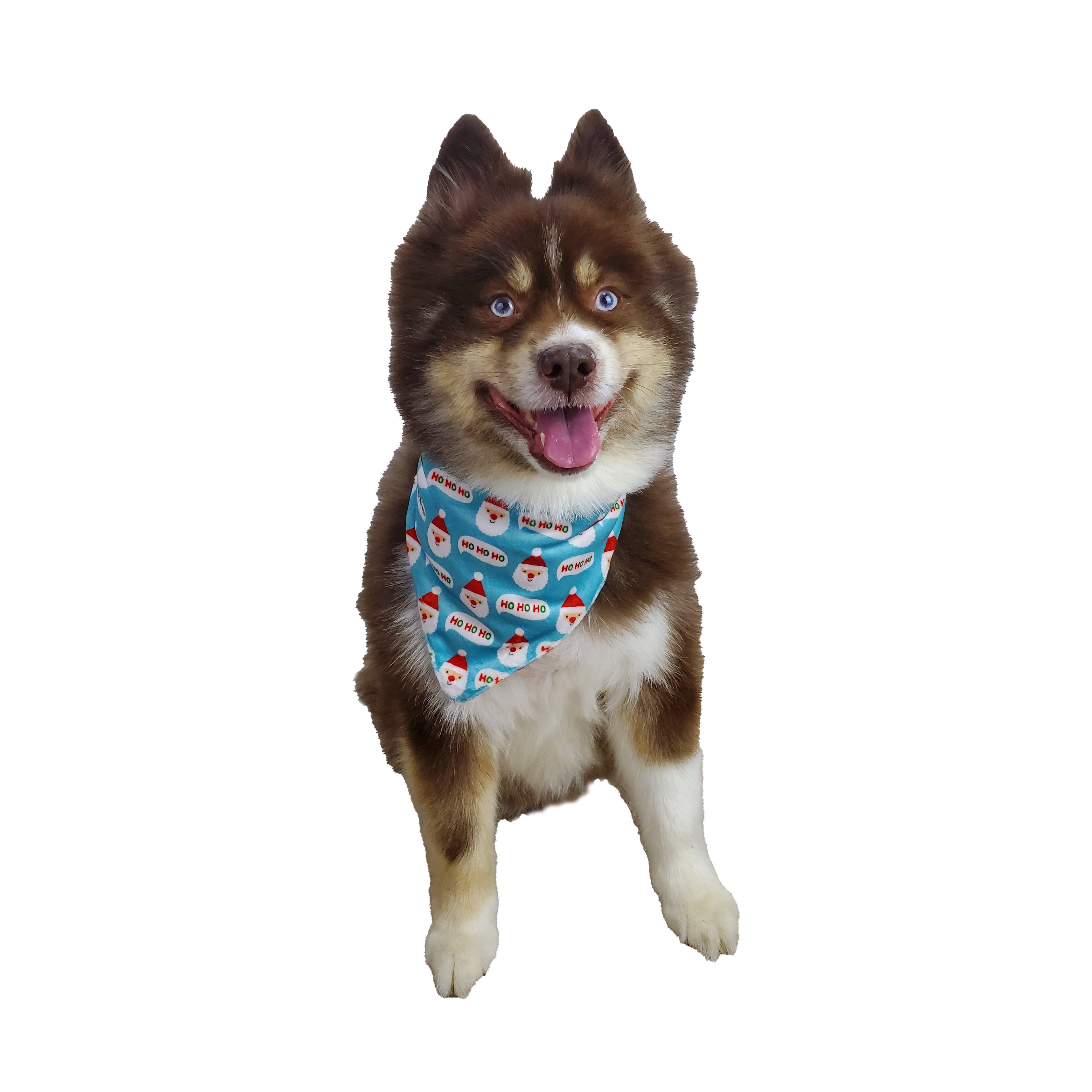 Barker's Bowtique - Wholesale Pet Bandana - Dog - Christmas Reversible Santa Dog Bandana4