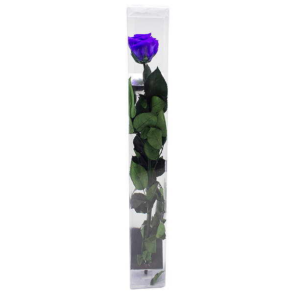 Concari.flores Preservadas - Wholesale Artificial Flowers - ROSE WITH PRESERVED STEM8
