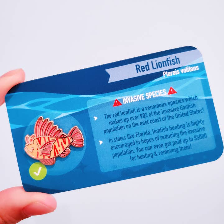 Informative Enamel Pin: Red Lionfish for wholesale by Umvvelt LLC