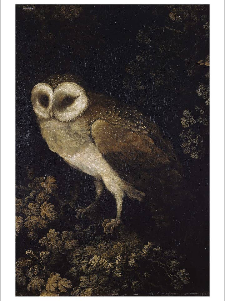 Donkere Academie Schilderij - Een Uil voor wholesale door Arteve Gallery