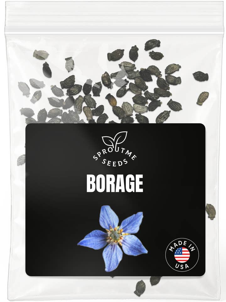 Borage Seeds 100+ Seeds – Non-GMO, Edible Flowers & Pollinator Herb for wholesale by SproutMe Seeds