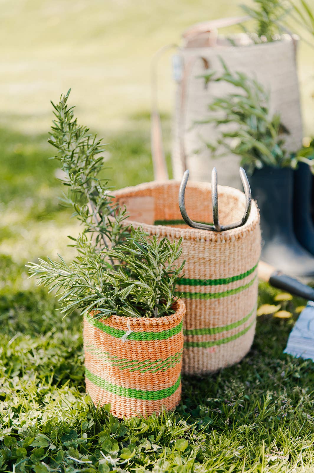 Crafts by Solid - Wholesale Basket - Handwoven Sisal Baskets - Colourful hues - XXS - XXL3