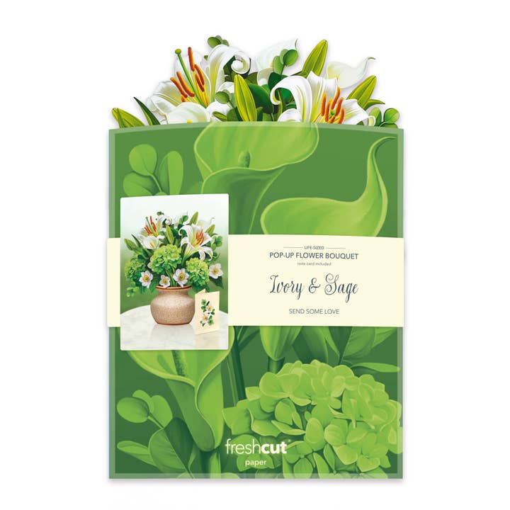FreshCut Paper LLC - Wholesale Everyday Greeting Card - Ivory & Sage (8 Pop-up Greeting Cards)4