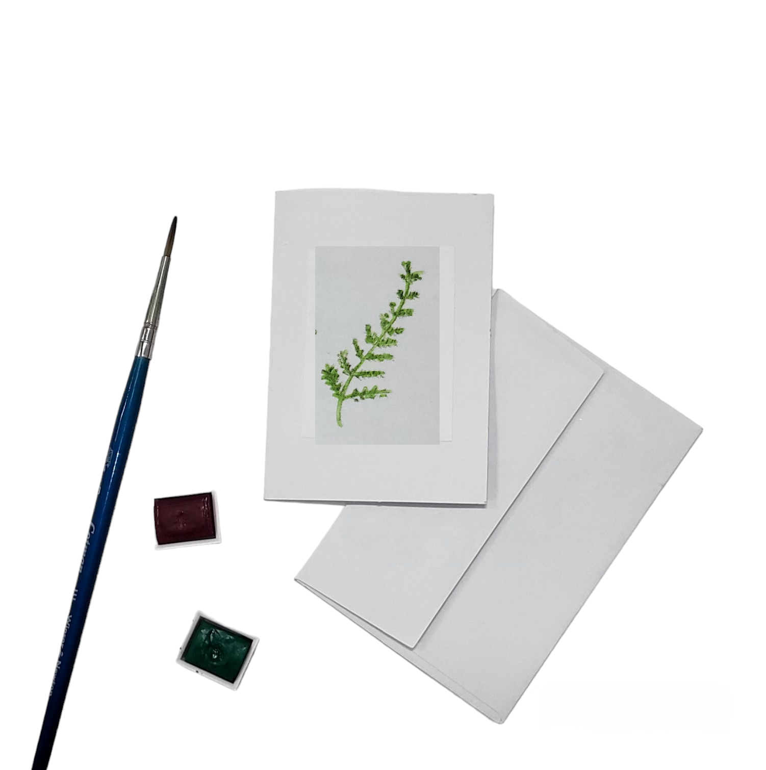 Emily Drew Yates Art & Illustration - Wholesale Everyday Greeting Card - Mini Watercolor Gift Enclosure Cards - 15 Options3