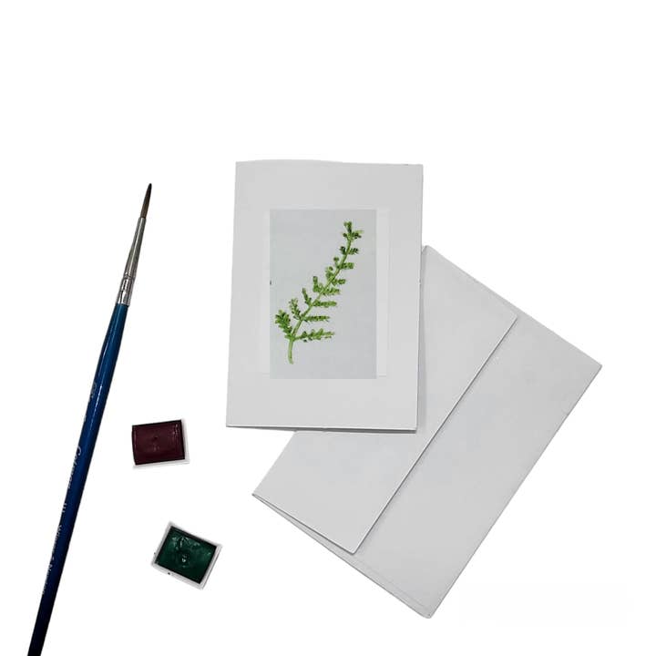 Emily Drew Yates Art & Illustration - Wholesale Everyday Greeting Card - Mini Watercolor Gift Enclosure Cards - 15 Options3